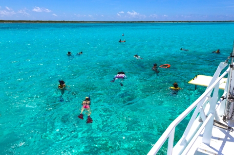 Cozumel, Mexico - Group Of Friends Snorkeling Together On A Part